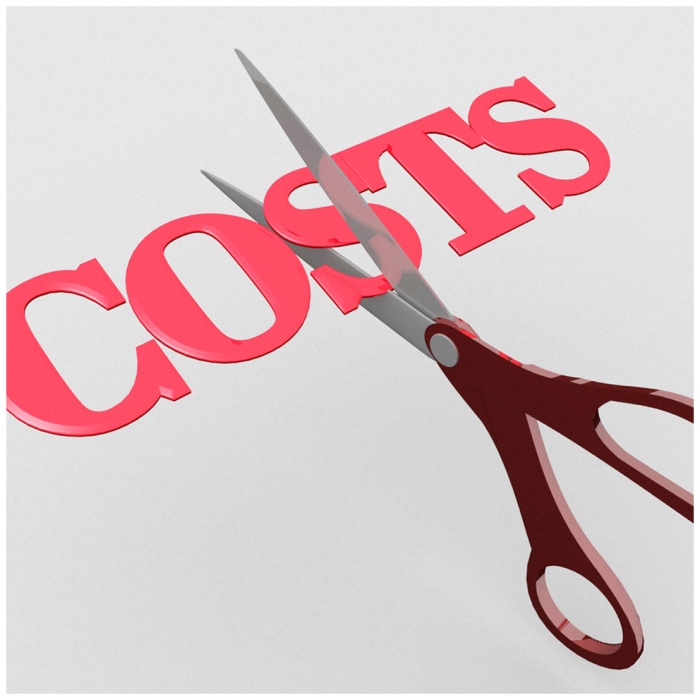 cut the cost